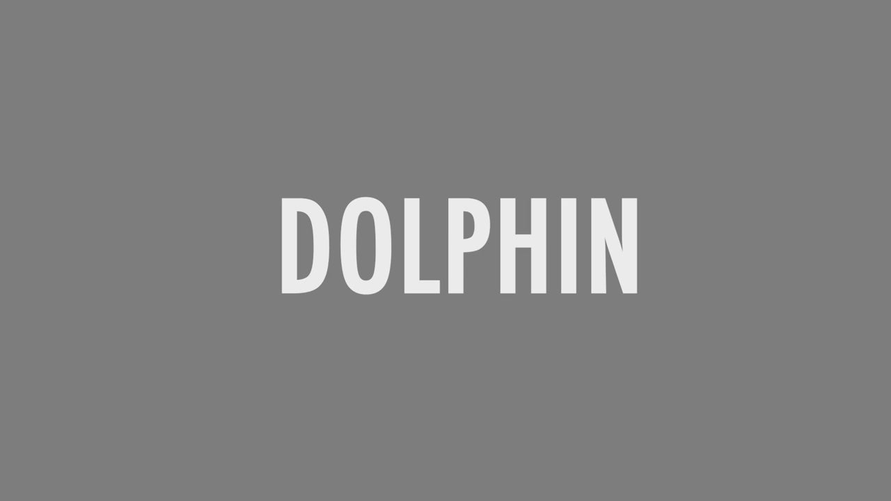 Silla Operativa - Dolphin